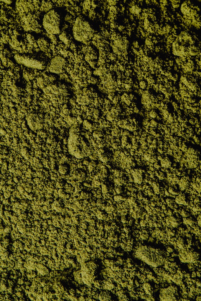 why-choose-us Closeup view of coarse green matcha powder texture, ideal for backgrounds and culinary themes.